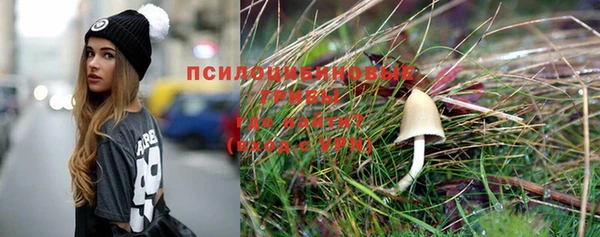 apvp Бронницы